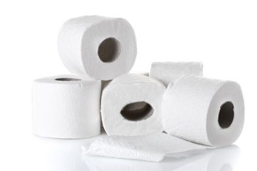 Toilet-paper Coupons - The Krazy Coupon Lady Toilet-paper Coupons - The Krazy Coupon Lady