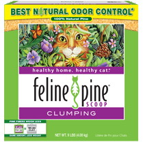 Feline Pine Rebate—Free Cat Litter at Target!
