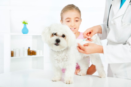 pets vaccines