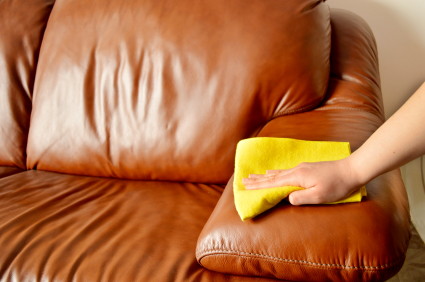 Cleaning Couches