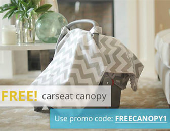 Free-Carseat-Canopy