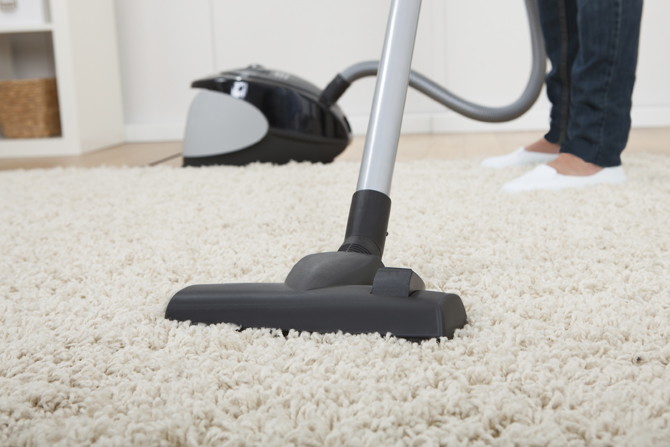 vacuum flea cleaner clothes infestation clean cleaning bed bugs carpets vacuuming moth rid control webbing lice during treatment homemade furniture