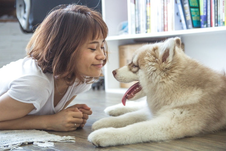 Make up to $600 ($200 per month) when you pet-sit dogs with DogVacay.