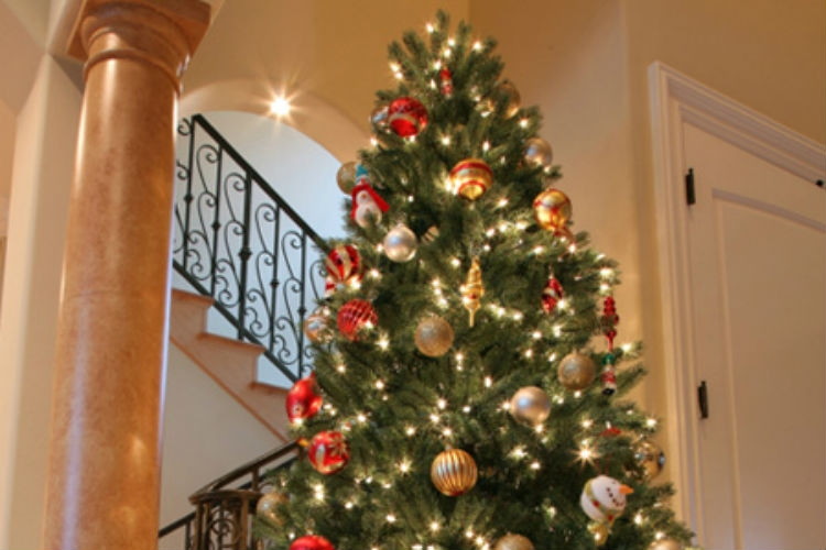 Where To Place Your Christmas Tree the ultimate christmas tree buying & care guide - the krazy coupon Where To Place Your Christmas Tree the ultimate christmas tree buying & care guide - the krazy coupon