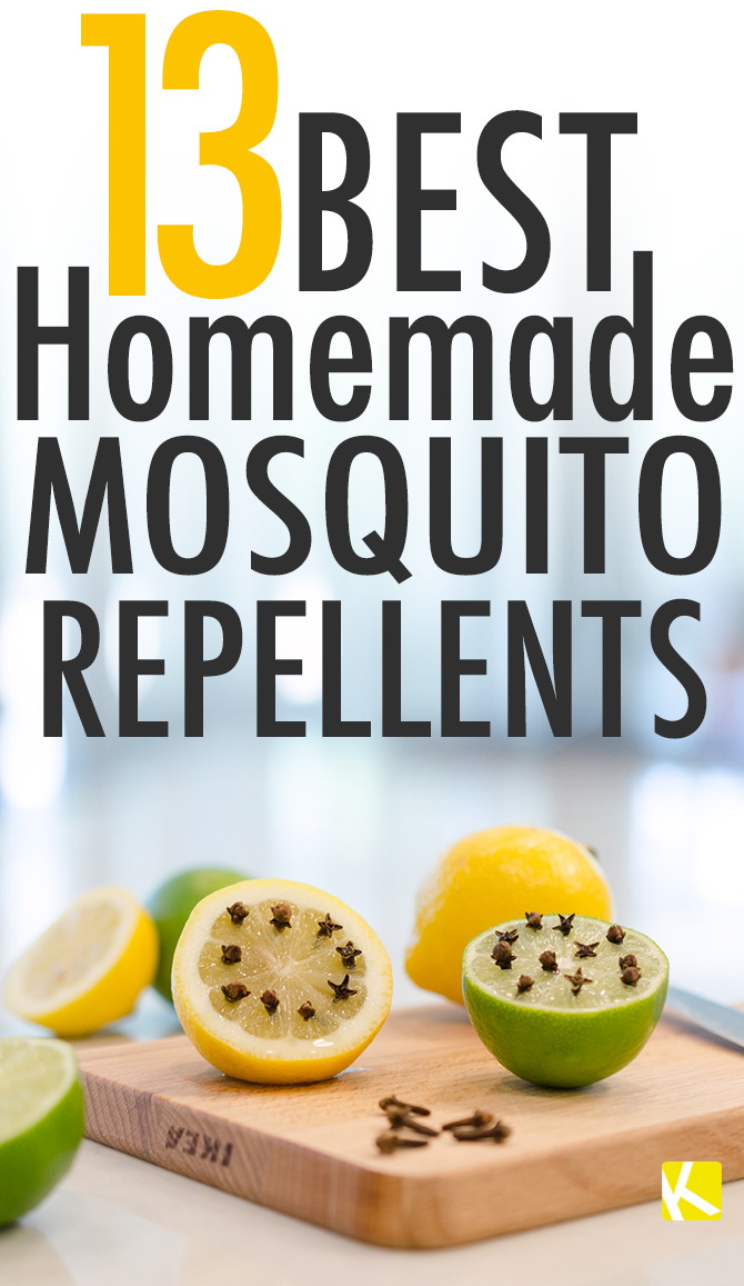 13-best-homemade-mosquito-repellents-the-krazy-coupon-lady