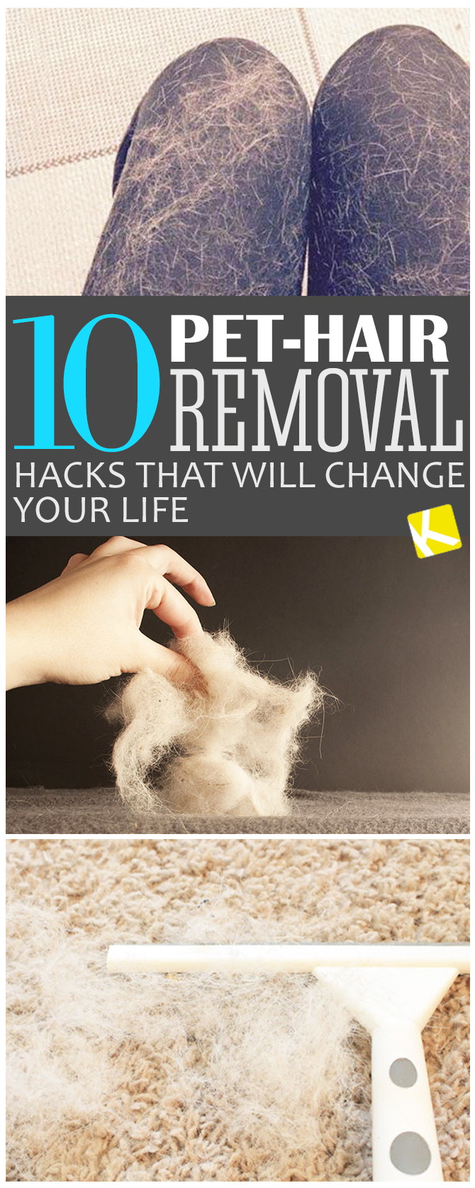 10 Pet Hair Removal Hacks That Will Change Your Life The Krazy