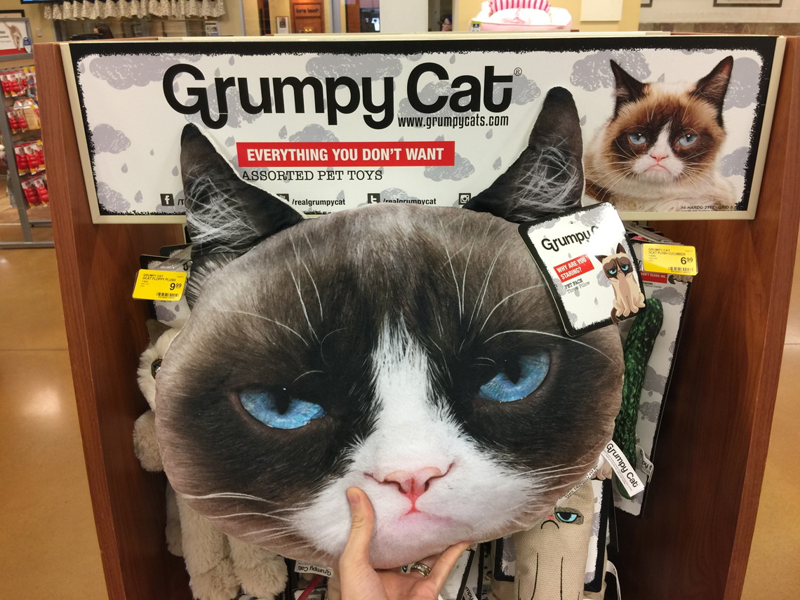 grumpy cat cuddly toy