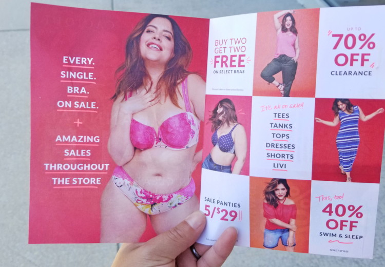 lane-bryant-ad-619-1-1529440898-750x520.jpg