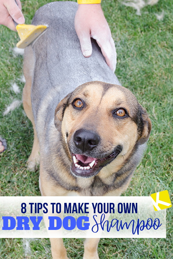 8 Tips to Make Your Own Dry Dog Shampoo The Krazy Coupon Lady