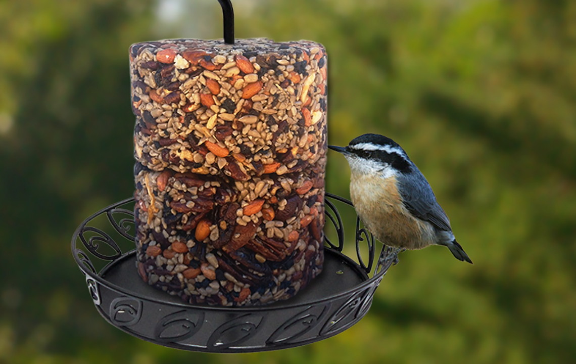 Clearance Bird Feeders As Low As 2 39 At Lowe S The Krazy