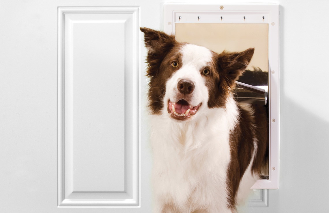 Pet Door For Dogs Up To 100 Pounds Just 20 At Walmart