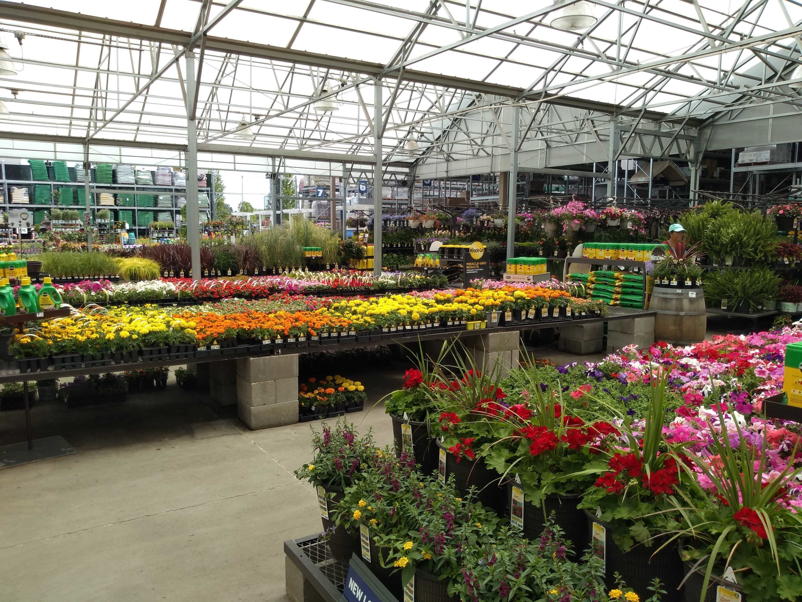 $2 Mulch, $5 Hanging Baskets, & More at Lowe's - The Krazy ...