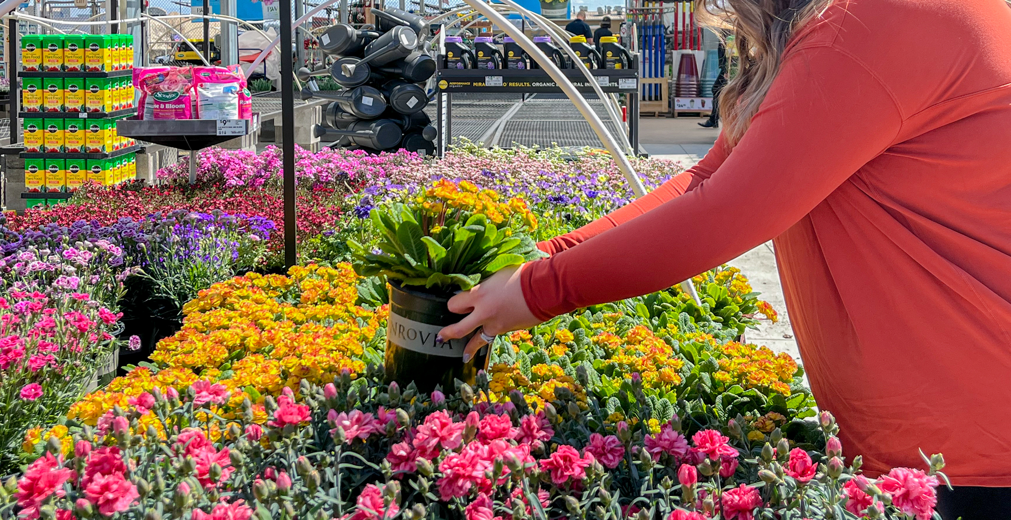 https://prod-cdn.thekrazycouponlady.com/wp-content/uploads/2021/04/lowes-spring-sale-springfest-deals-perennial-flowers-model-feature-1680634668-1680634669.jpg