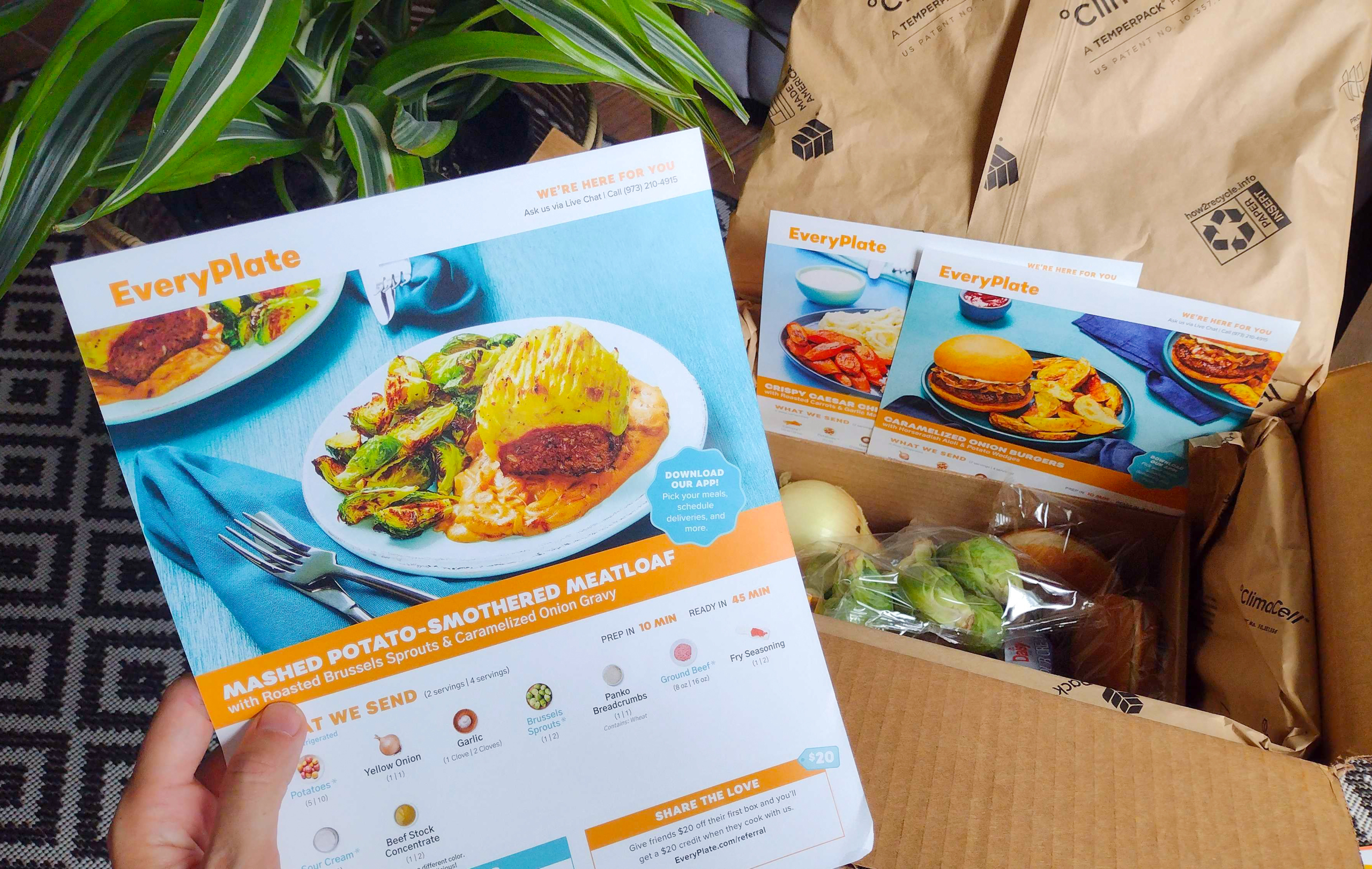 EveryPlate 20 Servings + Steak ($2.04/serving)