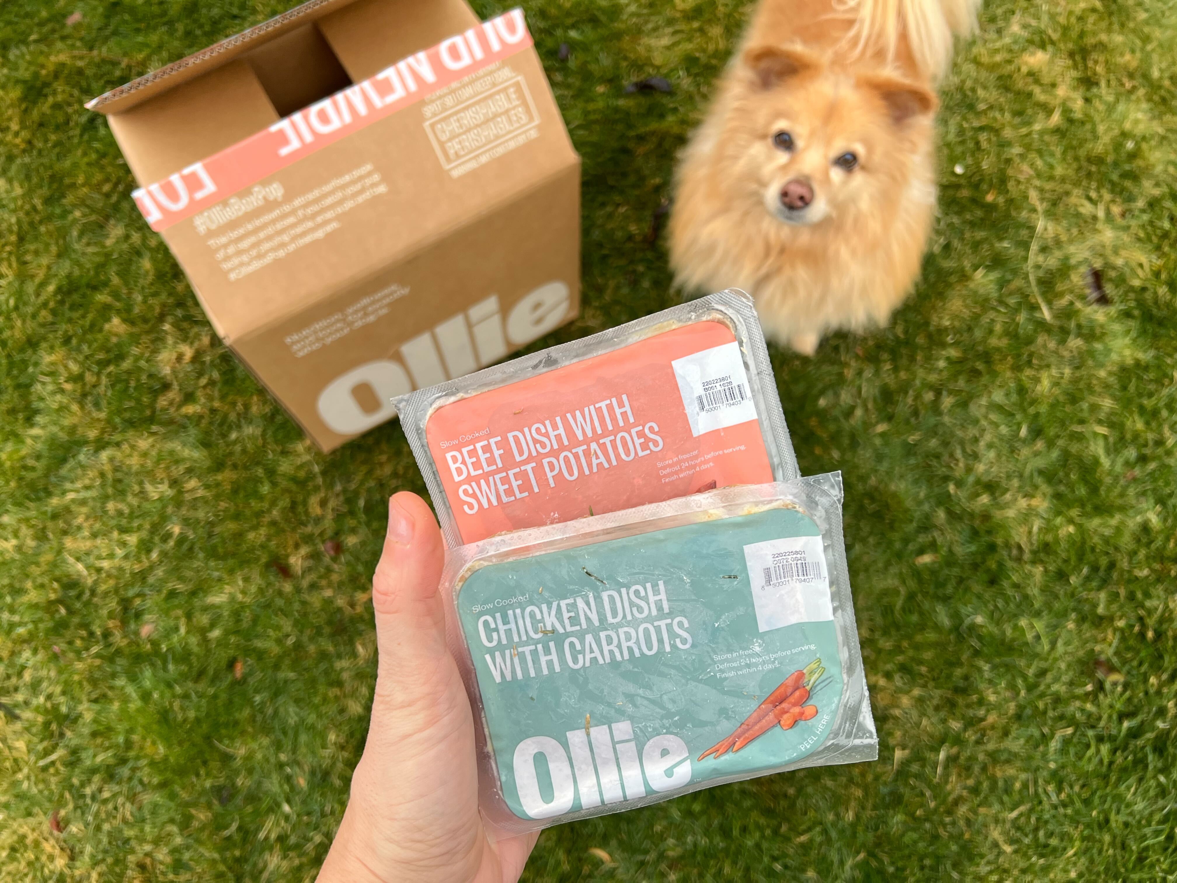 Cancel ollie dog outlet food