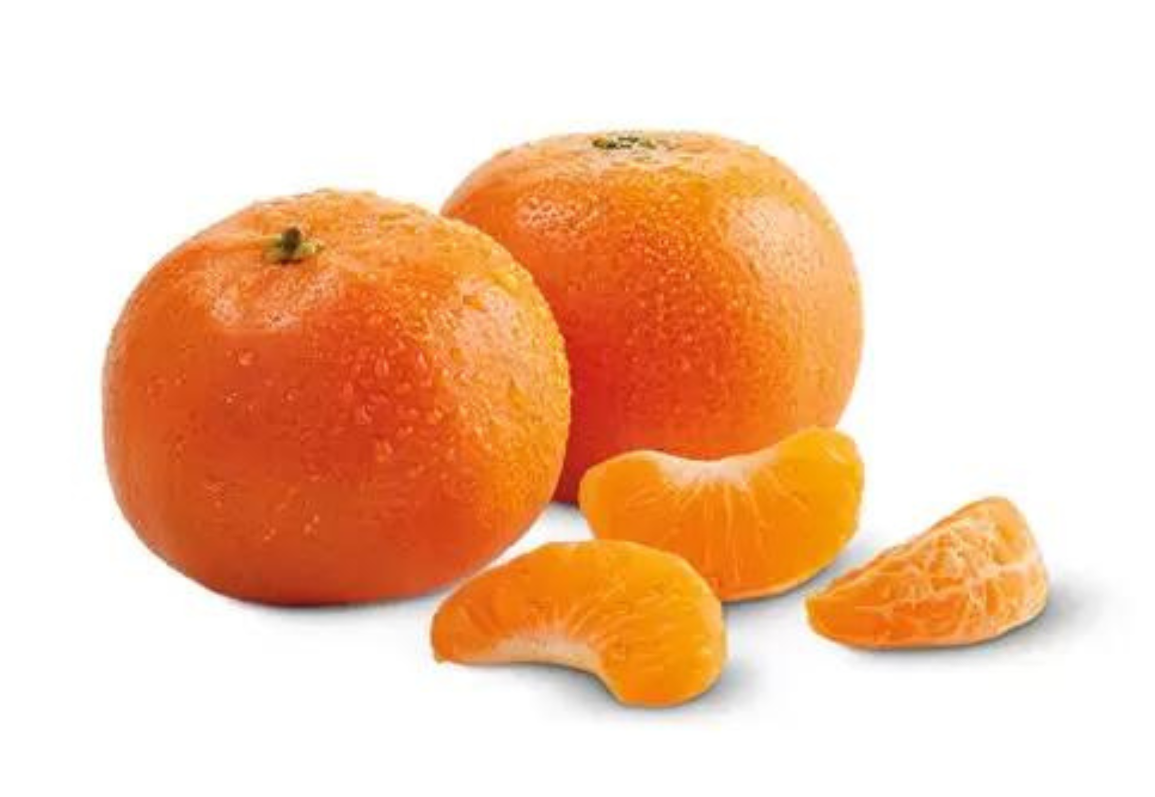 Aldi Weekly Ad: Sept 20 - 26, 2023 - The Krazy Coupon Lady