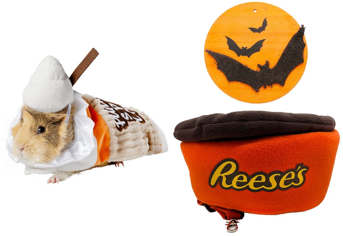 Small Pet Bundle