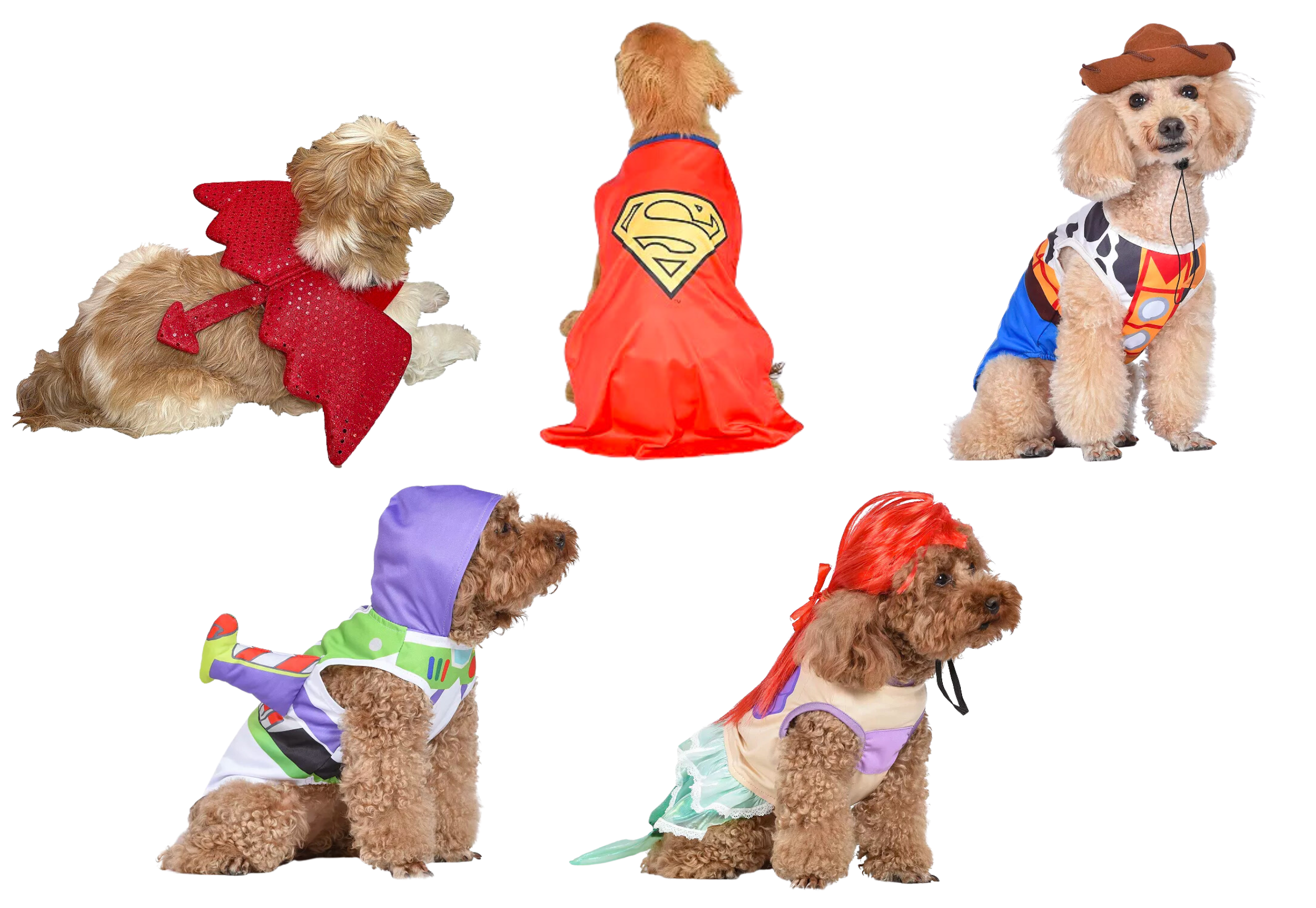Dog Costume