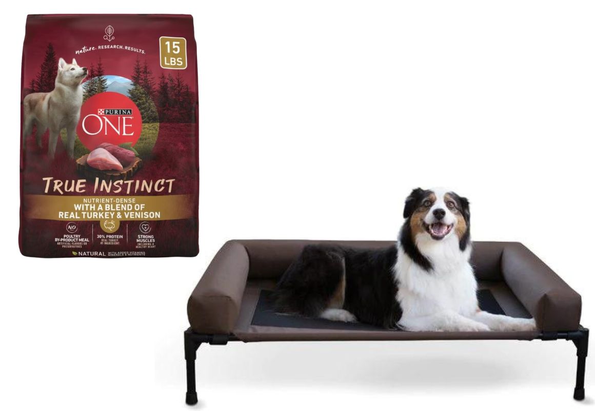 Dog Bundle