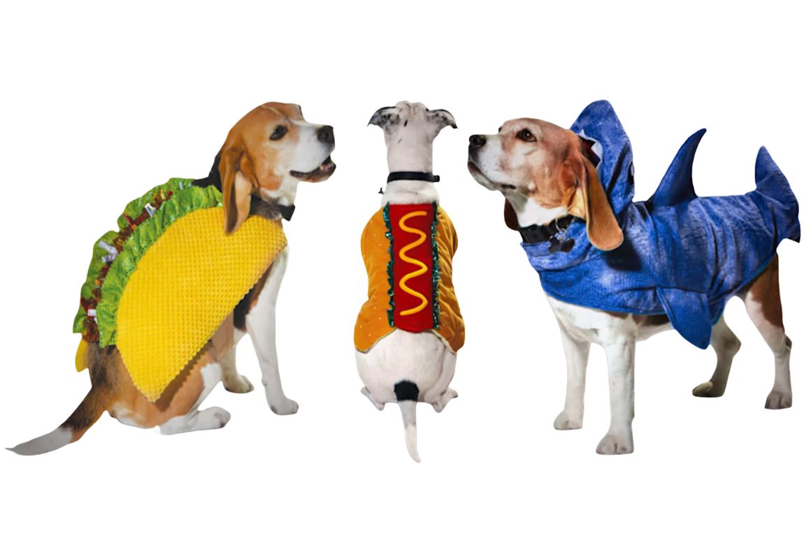 Costume Puppy Fidgets, 450+ Favorites Under $10