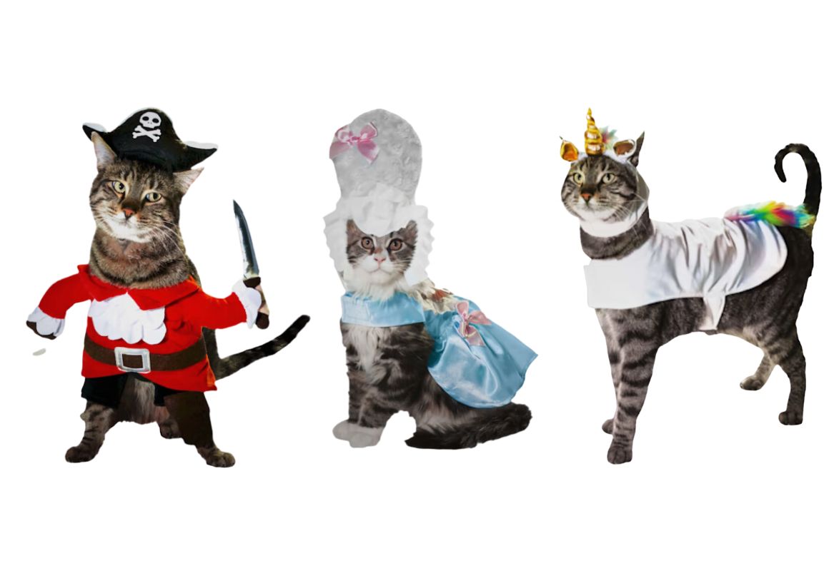 2 Cat Halloween Costumes