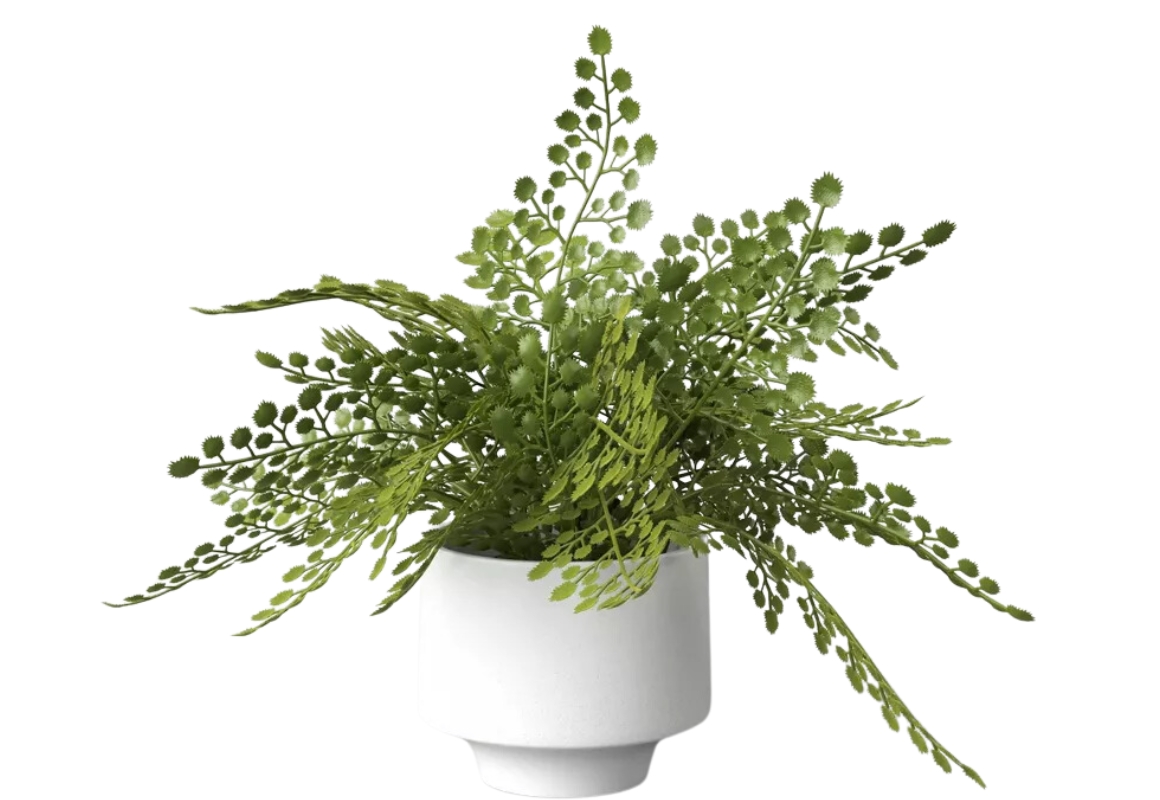 Faux Fern in Modern Pot