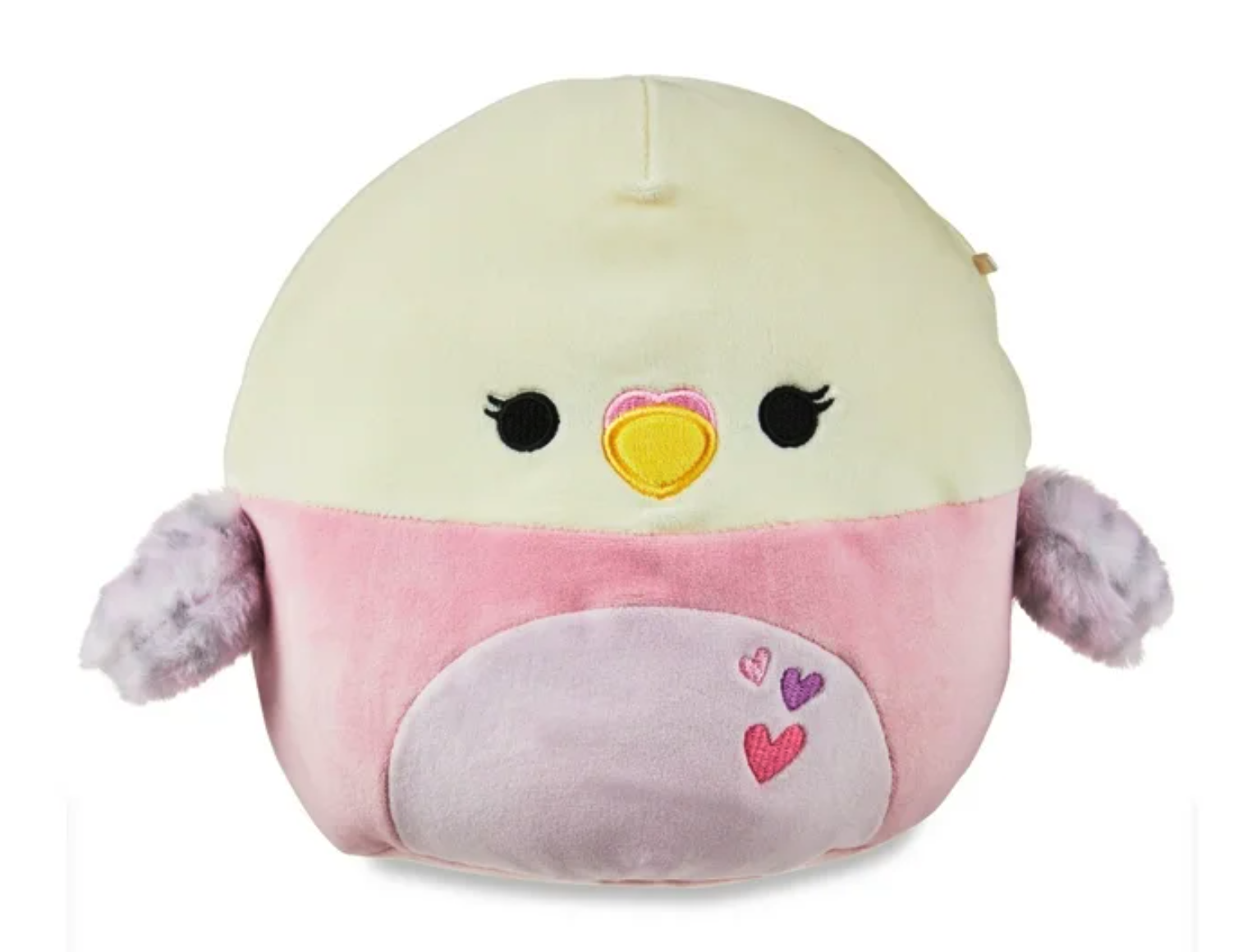 Isadora the Parakeet